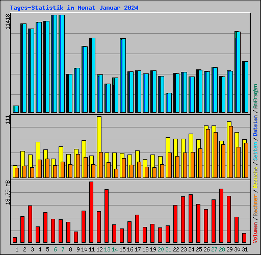 Tages-Statistik im Monat Januar 2024