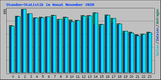 Stunden-Statistik im Monat November 2020
