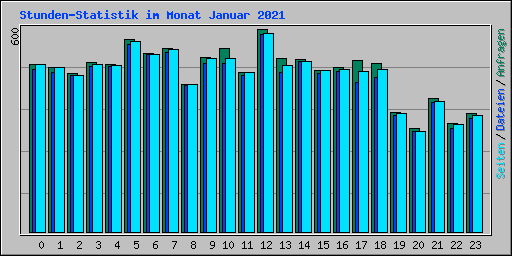 Stunden-Statistik im Monat Januar 2021