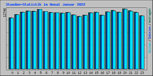 Stunden-Statistik im Monat Januar 2022