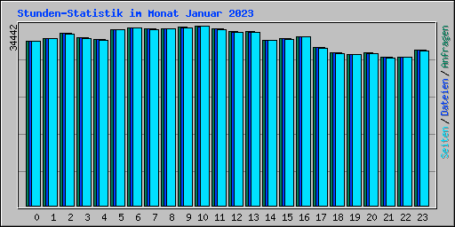 Stunden-Statistik im Monat Januar 2023