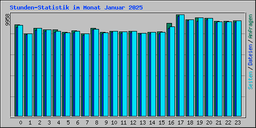 Stunden-Statistik im Monat Januar 2025