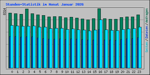 Stunden-Statistik im Monat Januar 2026