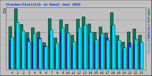 Stunden-Statistik im Monat Juni 2026