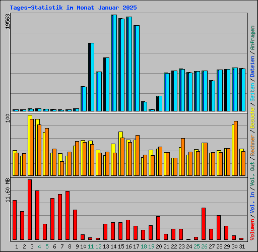 Tages-Statistik im Monat Januar 2025