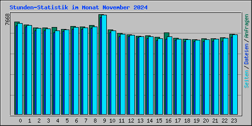 Stunden-Statistik im Monat November 2024